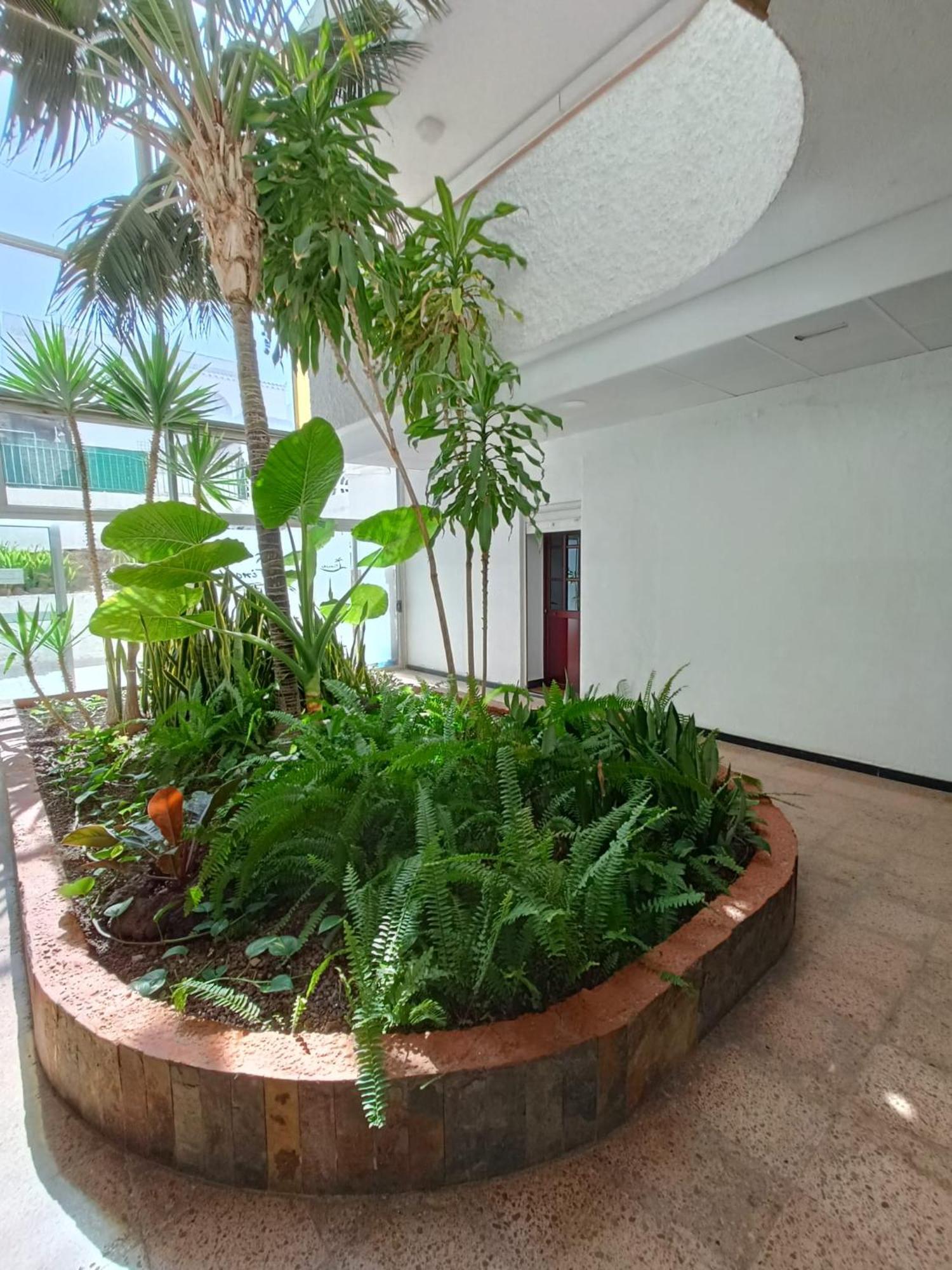 Playa Del Ingles 5 Min Walk From Yumbo! 512 Διαμέρισμα Μασπαλόμας Εξωτερικό φωτογραφία